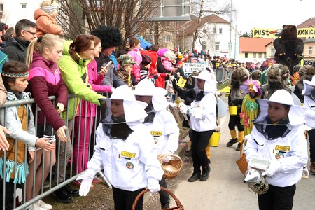 ZLATA POROKA PUSTNI KARNEVAL PARK 04 FOTO LJUBO VUKELIČ